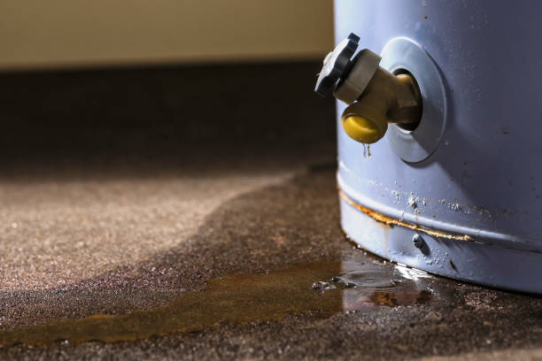 Best Local water damage restoration  in Lakesite, TN