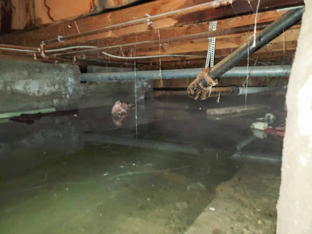 Best Water damage restoration process  in Lakesite, TN