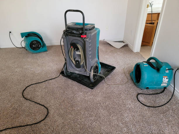 Best 24/7 water damage repair  in Lakesite, TN