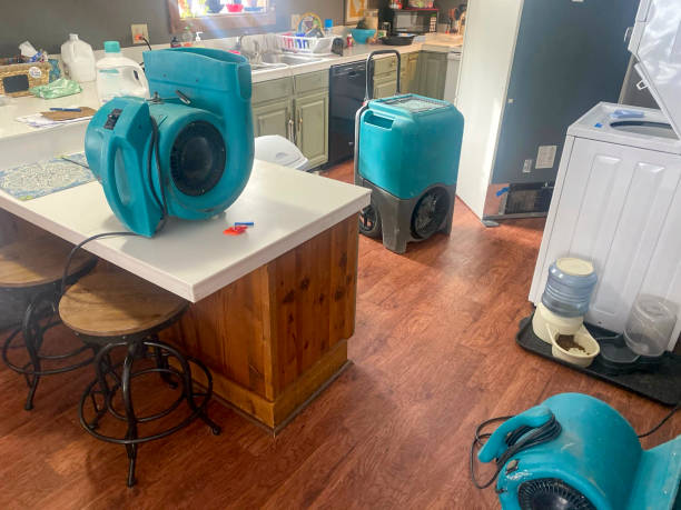Best Professional water damage repair  in Lakesite, TN