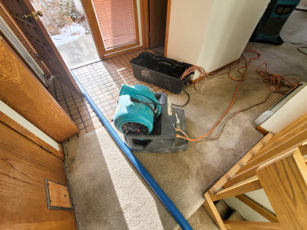 Best Professional water damage repair  in Lakesite, TN