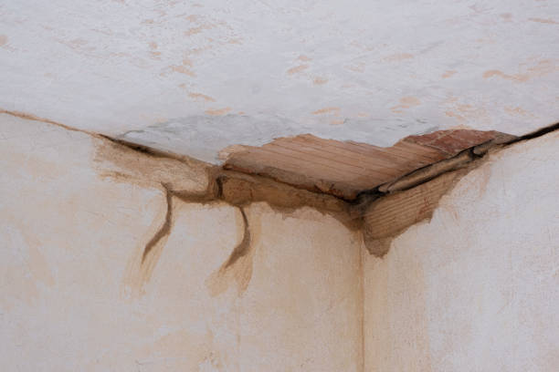 Best Sewage cleanup and water damage restoration  in Lakesite, TN