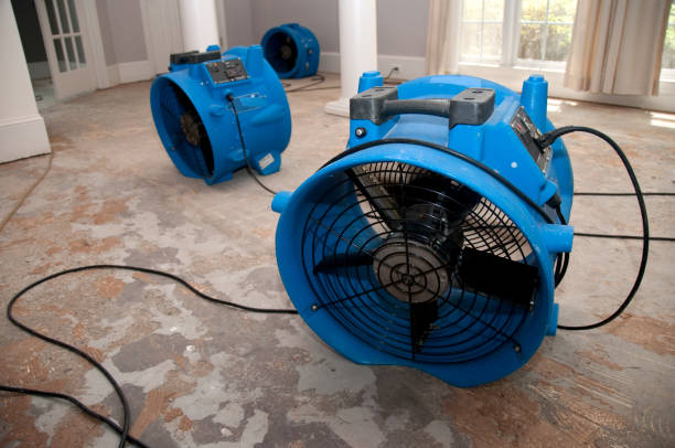 Best Ceiling water damage repair  in Lakesite, TN