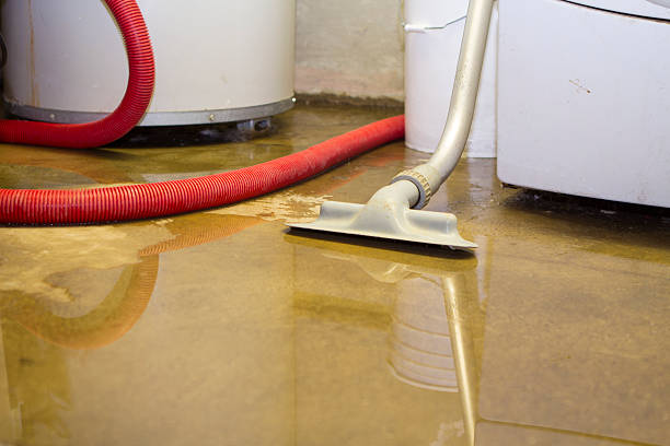 Best Basement water damage restoration  in Lakesite, TN