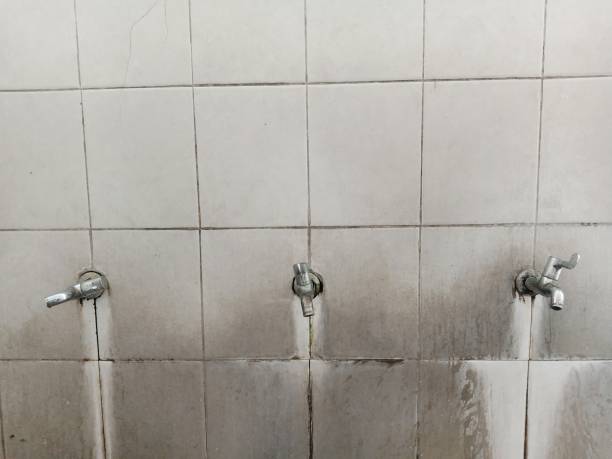 Best Flood damage cleanup  in Lakesite, TN