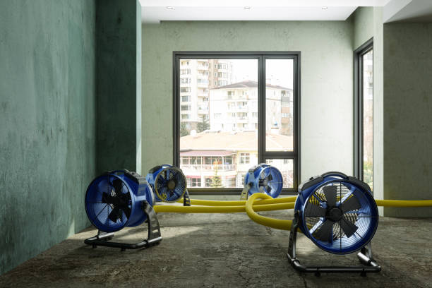 Best Water damage restoration services  in Lakesite, TN